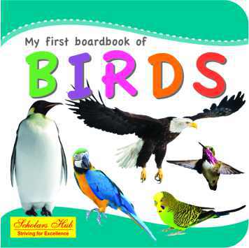 Scholars Hub My first board book of Birds